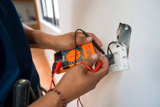 Best Electric Panel Repair  in Tchula, MS